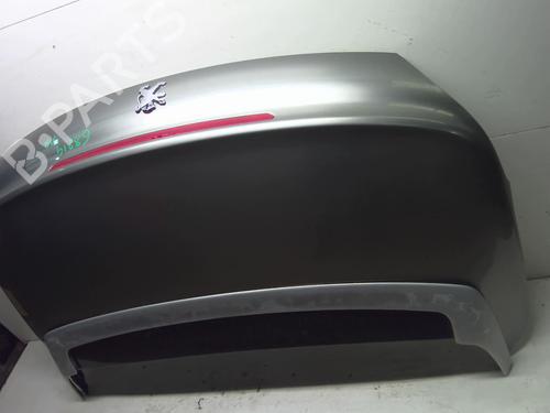 Tailgate PEUGEOT 207 CC (WD_) 1.6 HDi | BP18207414C6 
