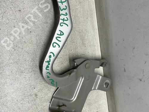 Hinge/Door check strap RENAULT CLIO IV (BH_) 1.5 dCi 75 | BP27674900C146 