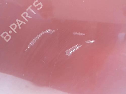 Hood RENAULT CLIO III (BR0/1, CR0/1) 1.5 dCi (C/BR0G, C/BR1G) | BP18214858C1 