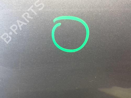 Hood CITROËN XSARA PICASSO (N68) 1.6 HDi | BP18211319C1 