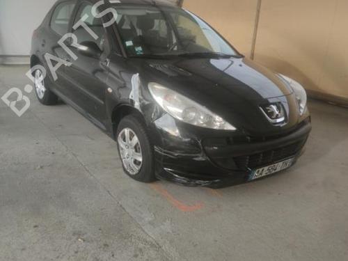 Tailgate PEUGEOT 206+ (2L_, 2M_) 1.4 i (2LKFWA, 2MKFWA) | BP18224289C6 