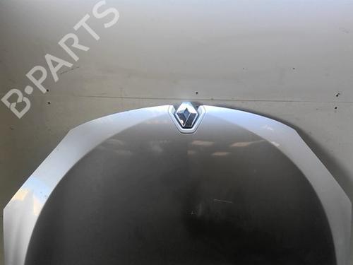 Used Hood Hood 38436889 38436889