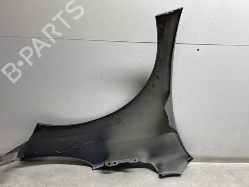 Left front fenders PEUGEOT 207 (WA_, WC_) 1.6 HDi | BP29174117C41 