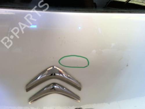 Tailgate CITROËN C3 II (SC_) 1.4 HDi 70 (SC8HZC, SC8HR0, SC8HP4) | BP26975158C6 
