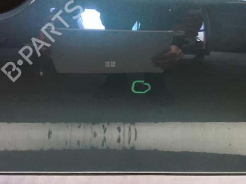 Right front door RENAULT MEGANE I (BA0/1_) 1.9 D Eco (BA0A, BA0U, BA0R) | BP18230140C3 