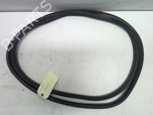 Used Rubber door seal RENAULT SCÉNIC III (JZ0/1_) 1.5 dCi (110 hp) 18220029