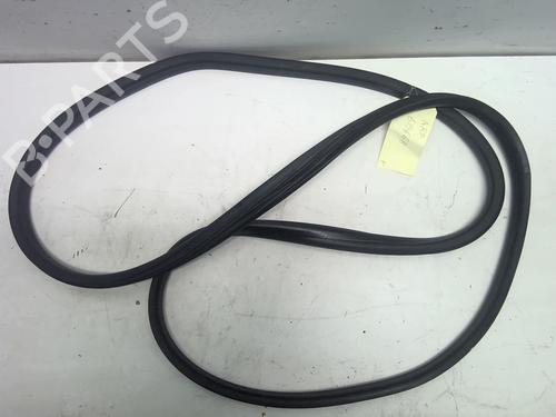 Used Rubber door seal RENAULT SCÉNIC III (JZ0/1_) 1.5 dCi (110 hp) 18220031