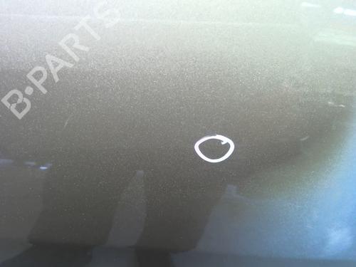 Right rear door RENAULT GRAND SCÉNIC III (JZ0/1_) 1.6 dCi (JZ00, JZ12) | BP29527286C5 