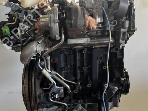 Motor für RENAULT KOLEOS I (HY_) 2.0 dCi 4x4 (HY0B) (173 hp) 18209570