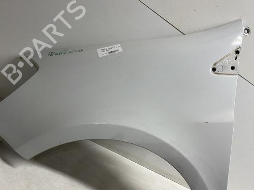 Left front fenders RENAULT CLIO III (BR0/1, CR0/1) 1.5 dCi (C/BR0G, C/BR1G) | BP24032487C41 