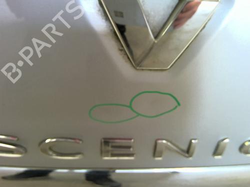 Tailgate RENAULT SCÉNIC III (JZ0/1_) 1.2 TCe (JZ16) | BP26934005C6