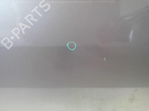 Left front door RENAULT MEGANE II Coupé-Cabriolet (EM0/1_) 1.9 dCi | BP18228068C2 