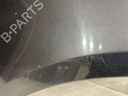 Left front fenders SKODA FABIA II (542) 1.6 TDI | BP26706106C41