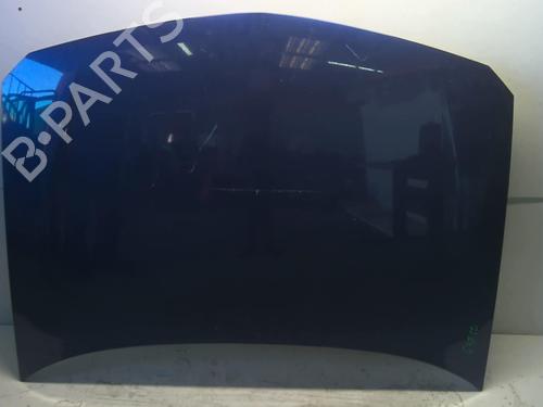 Used Hood RENAULT LAGUNA II Grandtour (KG0/1_) 2.0 16V (KG1Y) (204 hp) 18210884