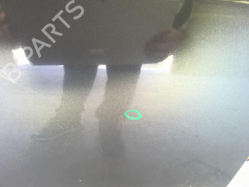 Right front door SKODA FABIA II (542) 1.6 TDI | BP26686258C3 