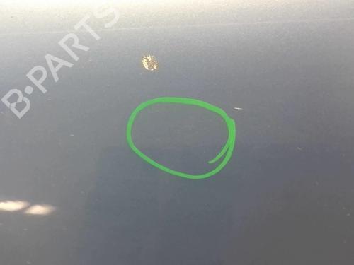 Left front door CITROËN C3 I (FC_, FN_) 1.4 HDi | BP18211569C2