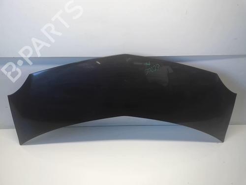 Panser RENAULT MODUS / GRAND MODUS (F/JP0_) 1.6 (JP03, JP0B, JP0U, JP0Y, JP1G) (112 hp) 18208691