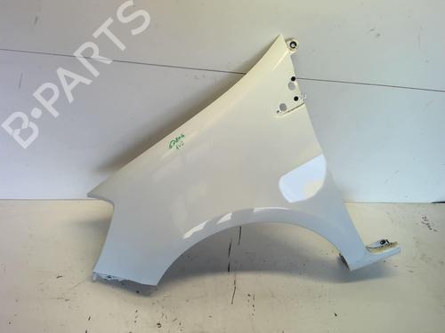 Used Left front fenders RENAULT CLIO III (BR0/1, CR0/1) 1.5 dCi (75 hp) 18226612
