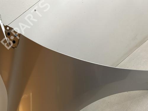 Left front fenders RENAULT MEGANE III Hatchback (BZ0/1_, B3_) 1.5 dCi (BZ0C) | BP23887577C41 