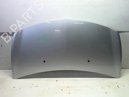 Used Hood RENAULT CLIO III (BR0/1, CR0/1) 1.5 dCi (75 hp) 18210335