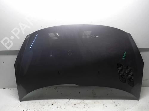 Used Hood PEUGEOT 206+ (2L_, 2M_) 1.4 HDi eco 70 (68 hp) 18211627