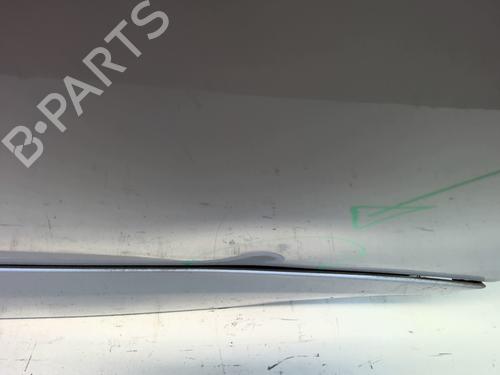 Right front door RENAULT SCÉNIC III (JZ0/1_) 1.6 dCi (JZ00, JZ12) | BP23762627C3 