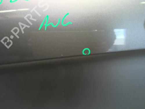 Left front door MERCEDES-BENZ A-CLASS (W169) A 180 CDI (169.007, 169.307) | BP18230194C2 