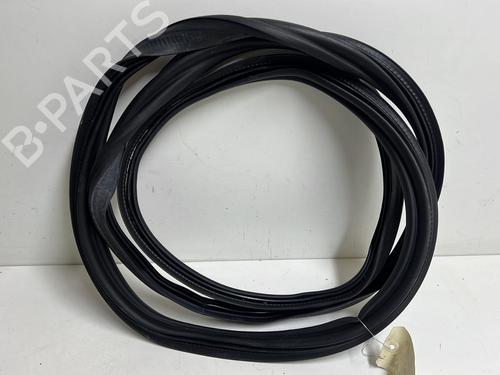 Gummiliste VW POLO VI (AW1, BZ1, AE1) 1.0 TSI (95 hp) 20341198