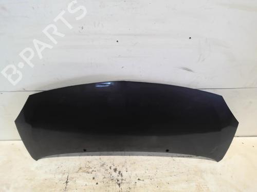 hood-renault-twingo-ii-cn0_-2007-30900011 main image