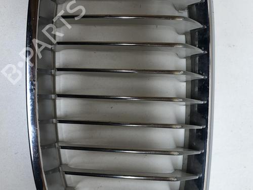 Used Grille BMW 1 (F21) 116 d (116 hp) 18219952