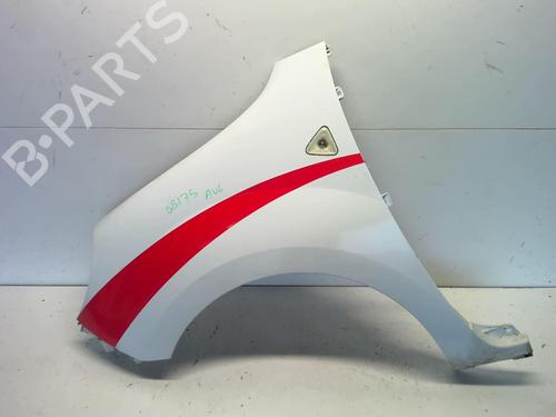 Left front fenders RENAULT KANGOO Express (FW0/1_) 1.5 dCi 70 (FW0A, KW0V) | BP18216281C41 