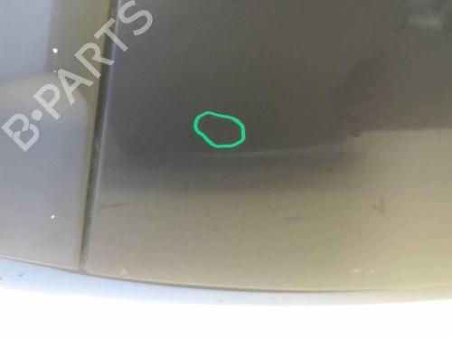 Used Right rear door RENAULT CLIO III (BR0/1, CR0/1) 1.5 dCi (C/BR0G, C/BR1G) (68 hp) 18228192