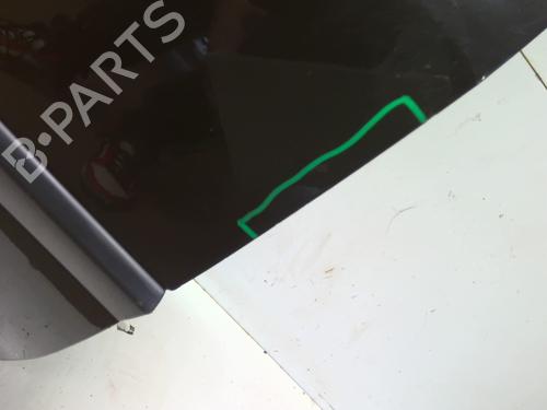Left front door RENAULT CLIO III (BR0/1, CR0/1) 1.2 16V (BR0P, CR0P) | BP23904976C2 
