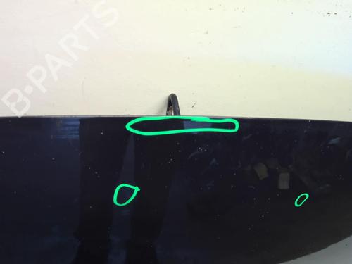 Hood CITROËN C3 II (SC_) 1.6 BlueHDi 75 | BP18212575C1 