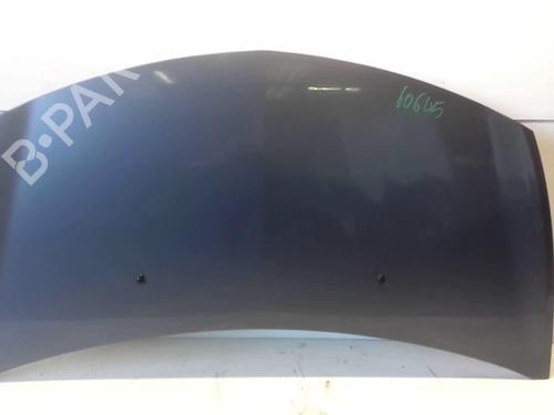 Used Hood RENAULT CLIO III (BR0/1, CR0/1) 1.5 dCi (BR0H, CR0H, CR1S, BR1S) (106 hp) 18232353