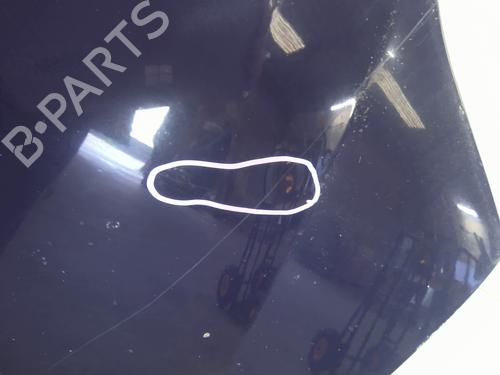 Hood DACIA LOGAN (LS_) 1.5 dCi (LS0K) | BP29896906C1