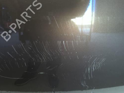 Hood RENAULT SCÉNIC III (JZ0/1_) 1.6 dCi (JZ00, JZ12) | BP26574041C1