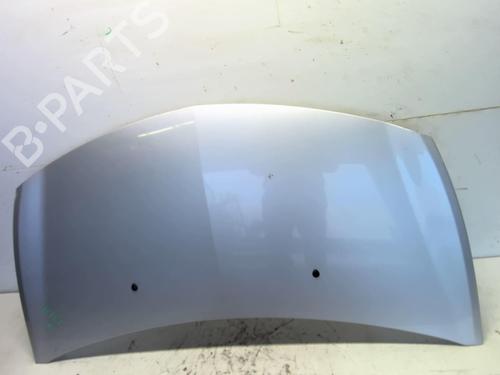 Hood RENAULT CLIO III (BR0/1, CR0/1) 1.5 dCi (C/BR0G, C/BR1G) | BP22654222C1 