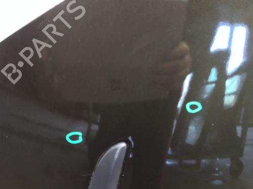 Right rear door RENAULT CLIO III (BR0/1, CR0/1) 1.4 16V | BP25221772C5 
