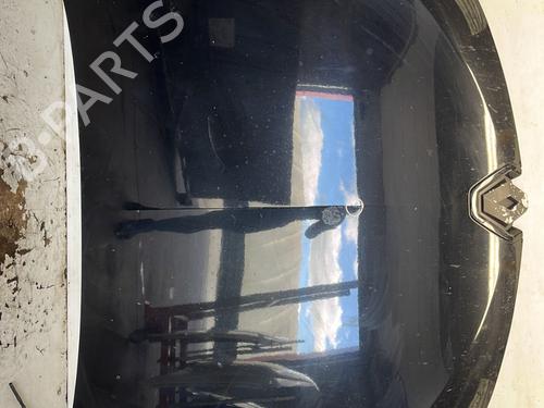 Used Hood RENAULT MEGANE III Coupe (DZ0/1_) 1.4 TCe (DZ0F, DZ1V) (131 hp) 29485617