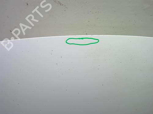 Hood CITROËN C3 II (SC_) 1.4 HDi 70 (SC8HZC, SC8HR0, SC8HP4) | BP18222746C1 