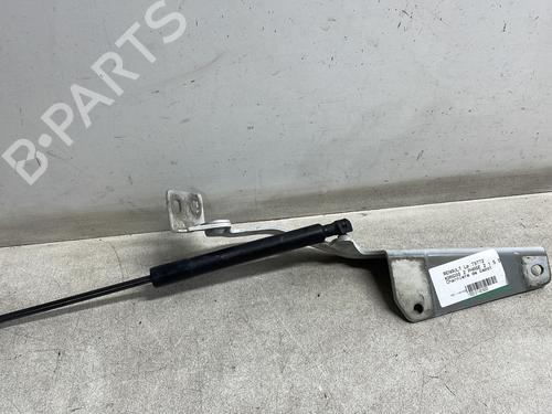 hingedoor-check-strap-renault-kangoo-express-fw01_-2008-29896887 main image