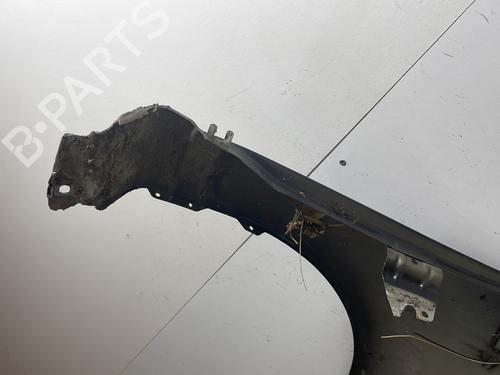 Left front fenders DACIA SANDERO 1.4 (BS0C, BS0A, BS0G, BS1F, BS0E) | BP29604589C41 