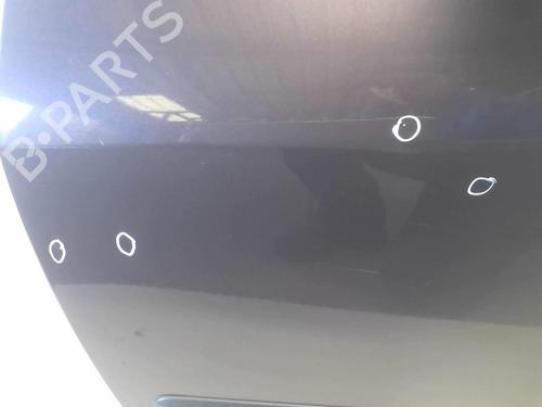 Left front door PEUGEOT 307 (3A/C) 2.0 HDi 90 | BP18214566C2 