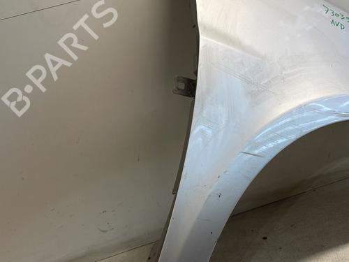 Right front fenders RENAULT CLIO III (BR0/1, CR0/1) 1.5 dCi (C/BR0G, C/BR1G) | BP27279529C42 