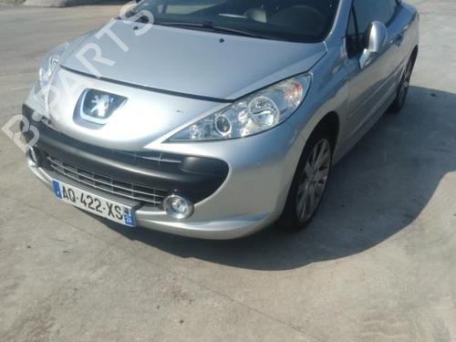 Tailgate PEUGEOT 207 CC (WD_) 1.6 16V | BP18231786C6 