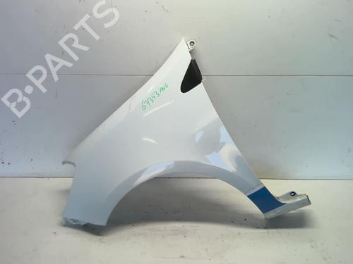 Left front fenders RENAULT CLIO III (BR0/1, CR0/1) 1.5 dCi | BP18230119C41 