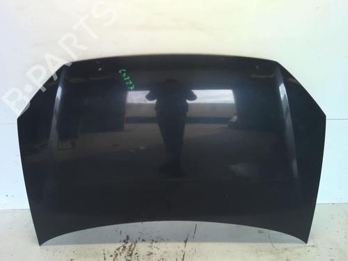 Used Hood VW POLO IV (9N_, 9A_) 1.4 TDI (70 hp) 18222460