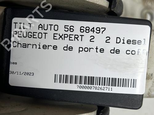 Hinge/Door check strap PEUGEOT EXPERT Van (VF3A_, VF3U_, VF3X_) 2.0 HDi 130 | BP23859651C146 