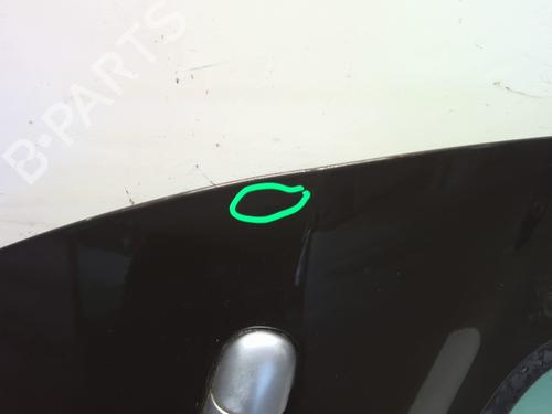 Right rear door RENAULT CLIO III (BR0/1, CR0/1) 1.4 16V | BP25221772C5 